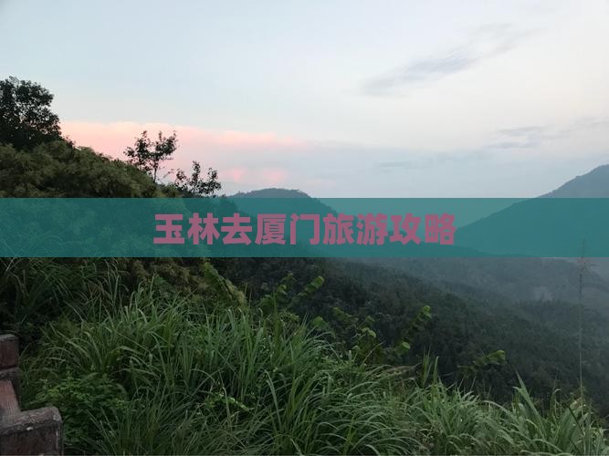 玉林去厦门个人游