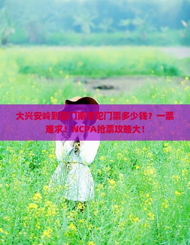 大兴安岭到厦门南普陀门票