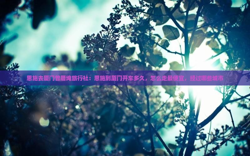 恩施去厦门曾厝埯旅行社