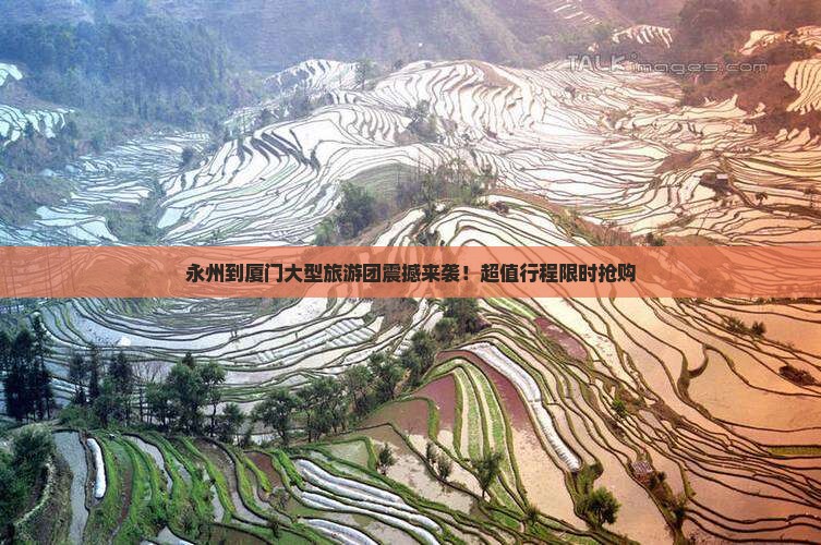 永州到厦门大型旅游团