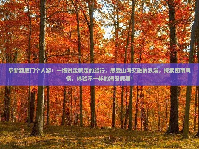 阜新到厦门个人游