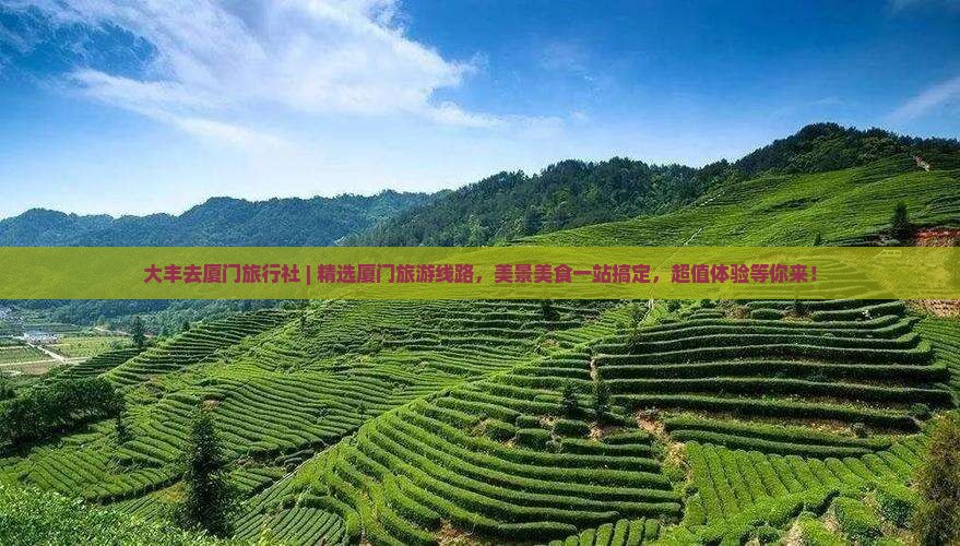 大丰去厦门旅行社