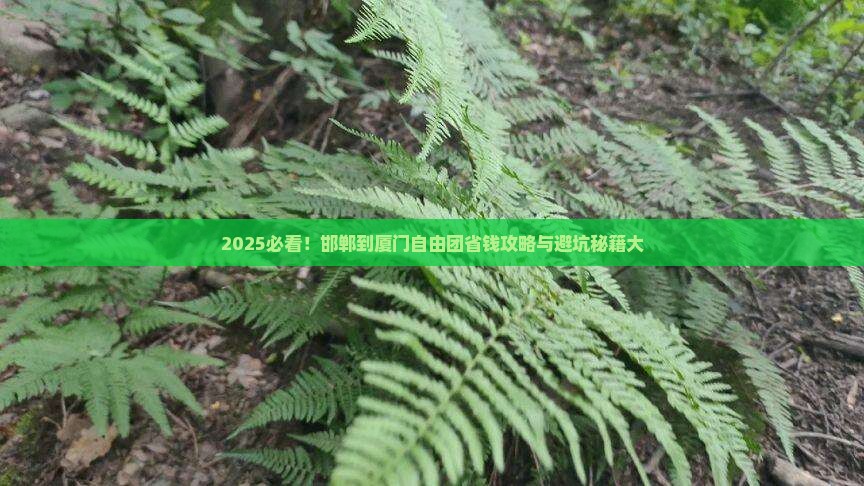 邯郸到厦门自由团