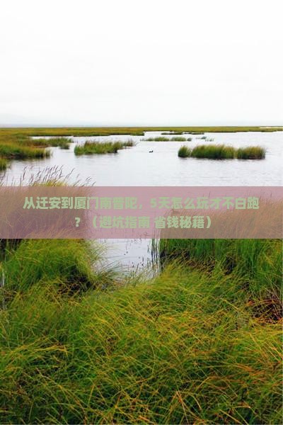 迁安去厦门南普陀旅游