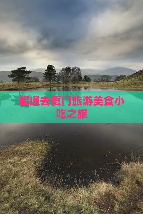 昭通去厦门旅游小吃