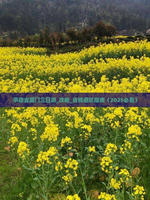 承德去厦门三日游