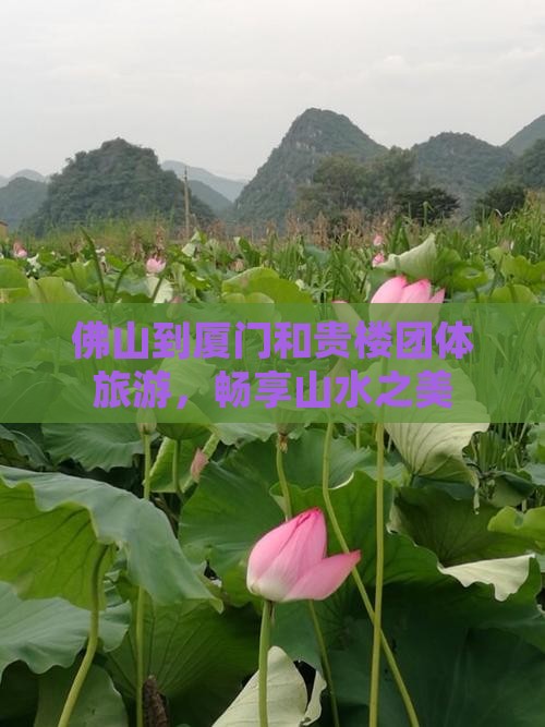 佛山到厦门和贵楼团体旅游,畅享山水之美 佛山到厦门和贵楼团体旅游,畅享山水之美