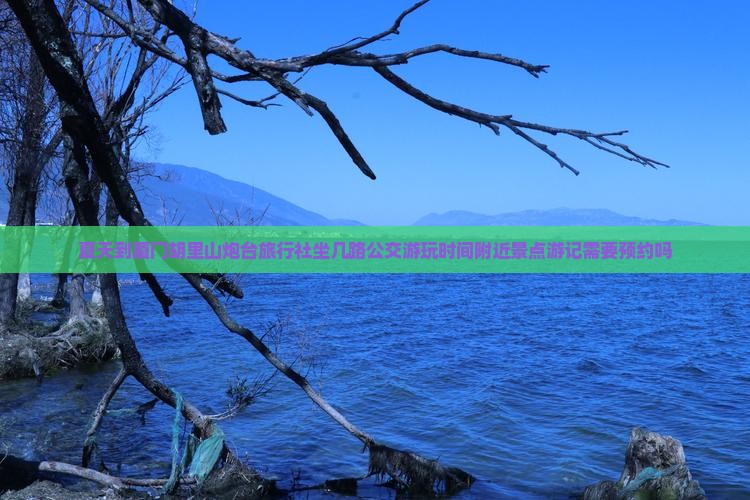 夏天到厦门胡里山炮台旅行社坐几路公交游玩时间附近景点游记需要预约吗