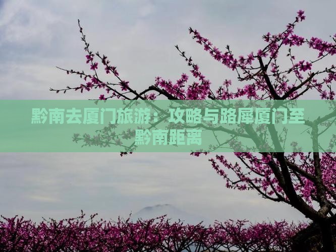 黔南去厦门旅游：攻略与路犀厦门至黔南距离