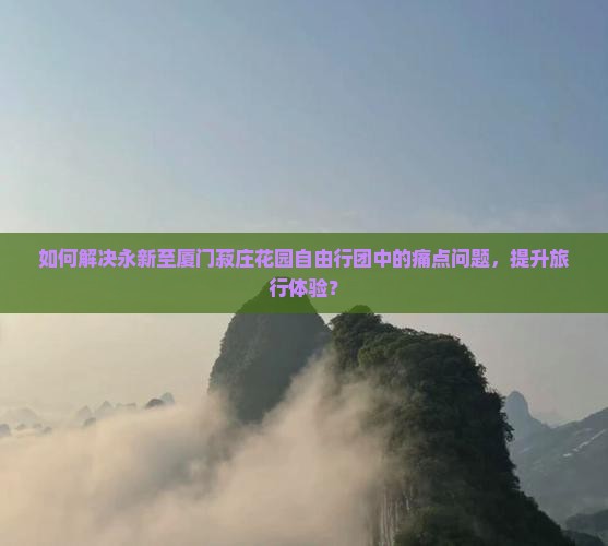 如何解决永新至厦门菽庄花园自由行团中的痛点问题，提升旅行体验？