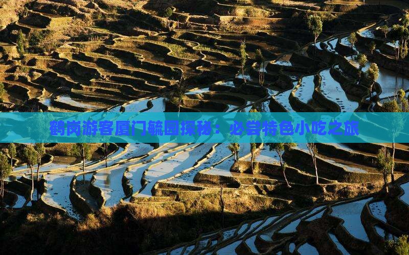 鹤岗游客厦门毓园探秘：必尝特色小吃之旅
