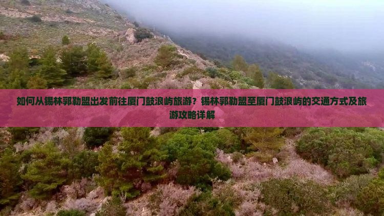 如何从锡林郭勒盟出发前往厦门鼓浪屿旅游？锡林郭勒盟至厦门鼓浪屿的交通方式及旅游攻略详解