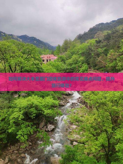 如何解决大丰至厦门团体旅游中的常见痛点问题，提升旅行体验？