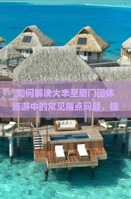 如何解决大丰至厦门团体旅游中的常见痛点问题，提升旅行体验？