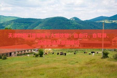 天津到厦门曾厝埯个人游攻略：自由行、自驾游、沿途玩法及旅游报价