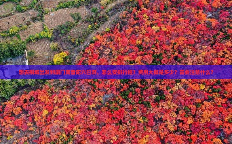 想去桐城出发到厦门南普陀六日游，怎么安排行程？费用大概是多少？需要注意什么？