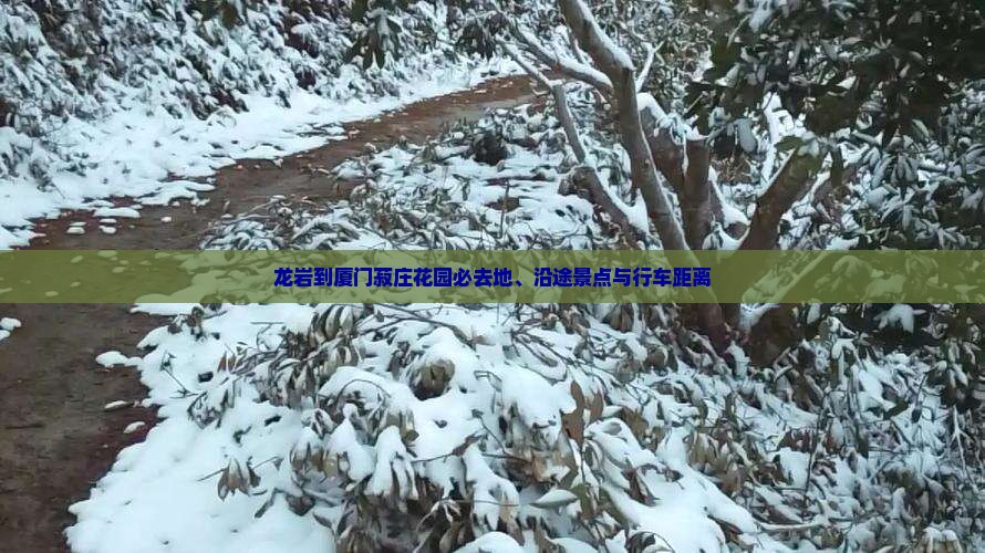 龙岩到厦门菽庄花园必去地、沿途景点与行车距离