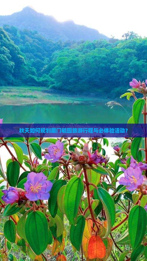 秋天如何规划厦门毓园旅游行程与必体验活动？