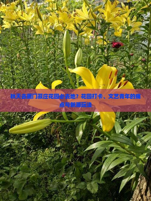 秋天去厦门菽庄花园必去地？花园打卡、文艺青年的痛点与新潮玩法