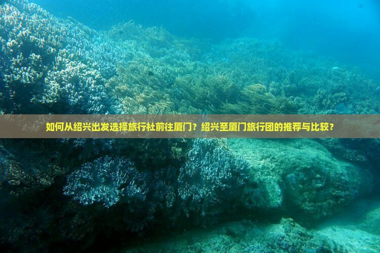 如何从绍兴出发选择旅行社前往厦门？绍兴至厦门旅行团的推荐与比较？