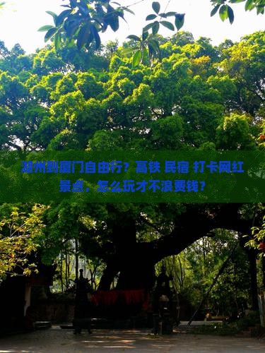湖州到厦门自由行？高铁+民宿+打卡网红景点，怎么玩才不浪费钱？