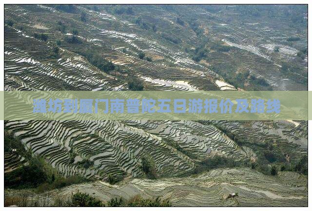 潍坊到厦门南普陀五日游报价及路线