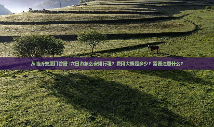 从临沂去厦门曾厝垵六日游怎么安排行程？费用大概是多少？需要注意什么？