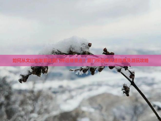如何从文山出发前往厦门怀远楼景点？厦门怀远楼交通指南及游玩攻略