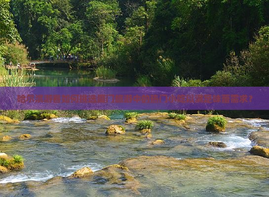 哈尔滨游客如何挑选厦门旅游中的热门小吃以满足味蕾需求？