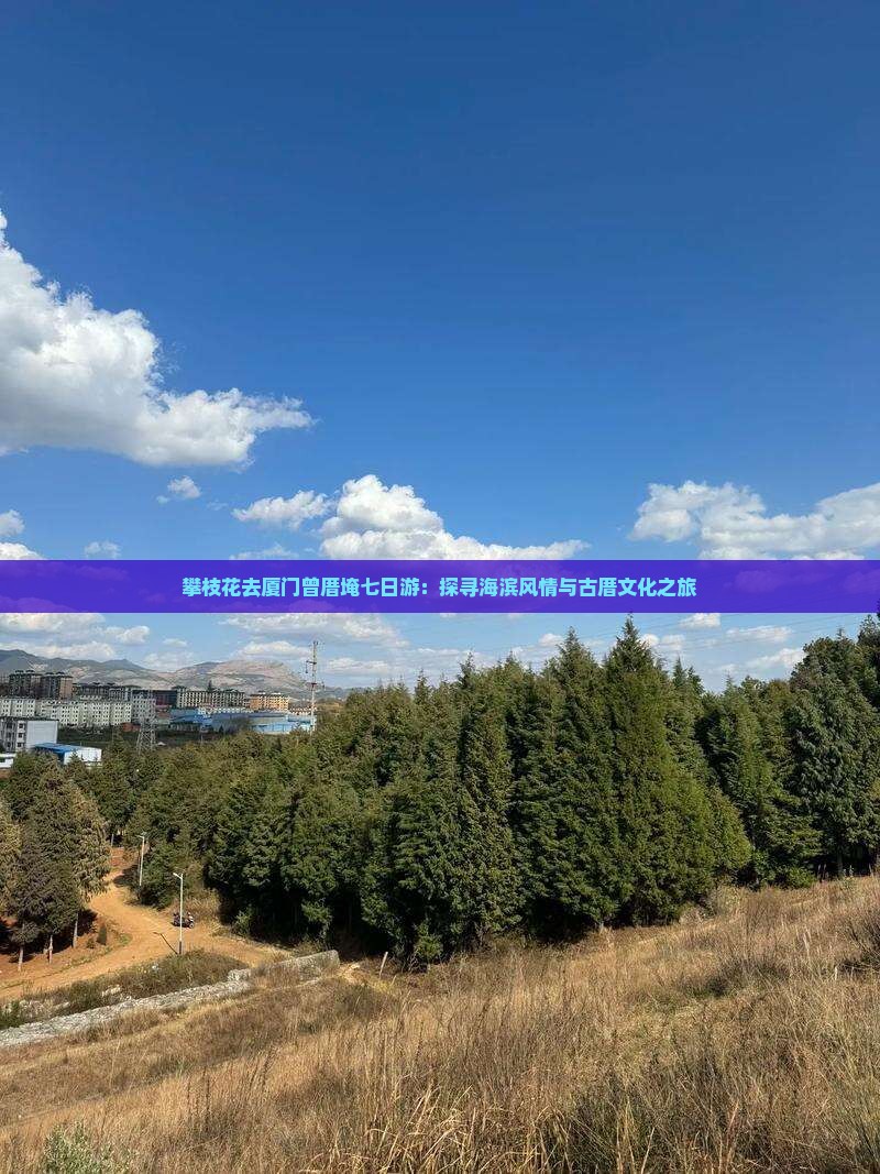 攀枝花去厦门曾厝埯七日游：探寻海滨风情与古厝文化之旅