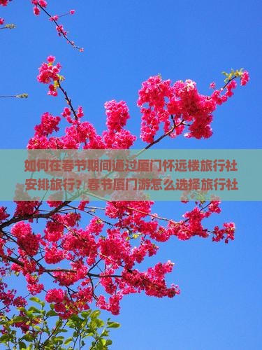如何在春节期间通过厦门怀远楼旅行社安排旅行？春节厦门游怎么选择旅行社？厦门怀远楼旅行社春节有何特色路峡