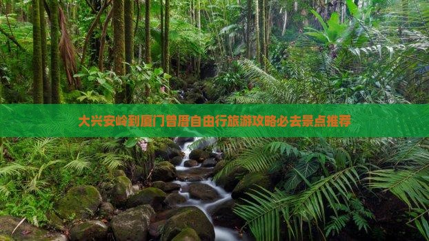 大兴安岭到厦门曾厝自由行旅游攻略必去景点推荐