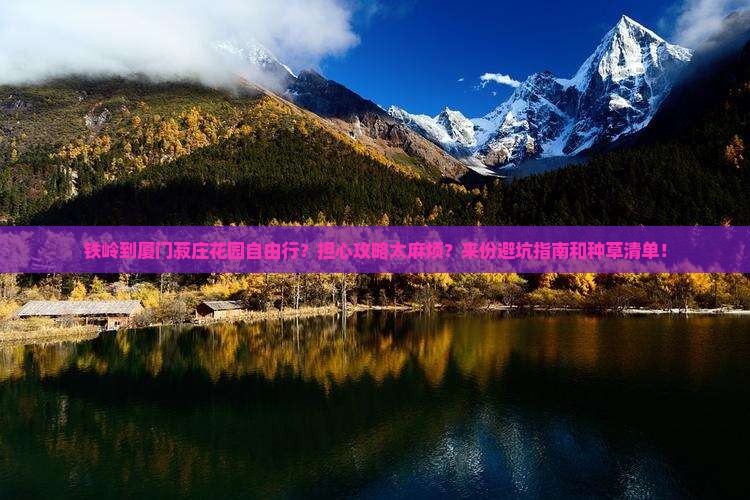 铁岭到厦门菽庄花园自由行？担心攻略太麻烦？来份避坑指南和种草清单！