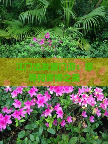江门出发厦门游：探寻和贵楼之美