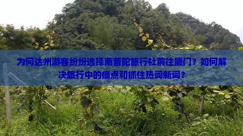 为何达州游客纷纷选择南普陀旅行社前往厦门？如何解决旅行中的痛点和抓住热词新词？