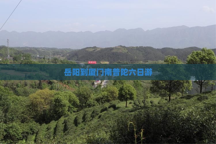 岳阳到厦门南普陀六日游