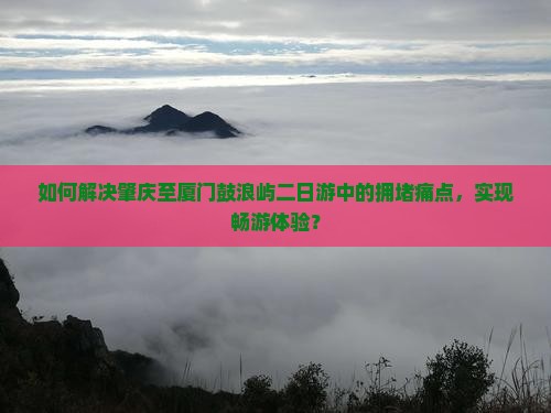 如何解决肇庆至厦门鼓浪屿二日游中的拥堵痛点，实现畅游体验？