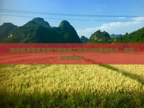 如何解决肇庆至厦门鼓浪屿二日游中的拥堵痛点，实现畅游体验？