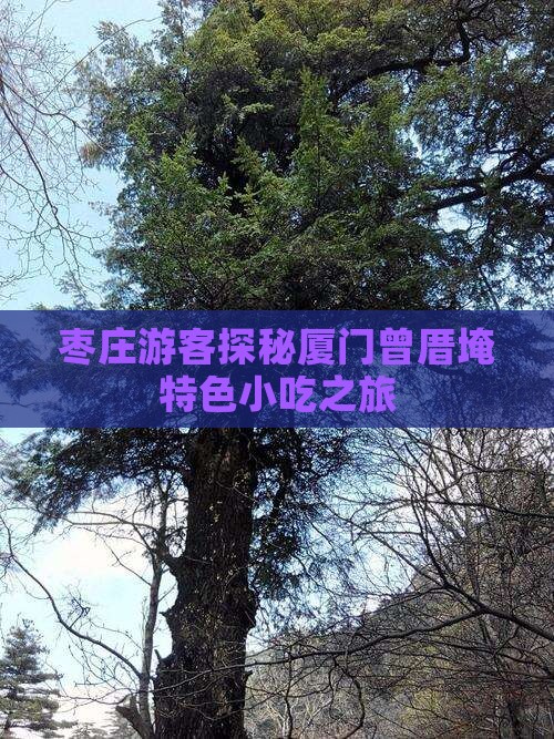 枣庄游客探秘厦门曾厝埯特色小吃之旅