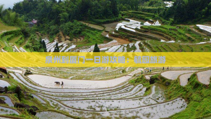 泉州到厦门毓园旅游
