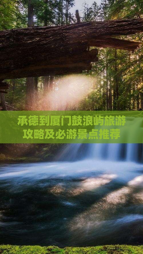 承德去厦门鼓浪屿四日游