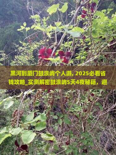 黑河到厦门鼓浪屿个人游