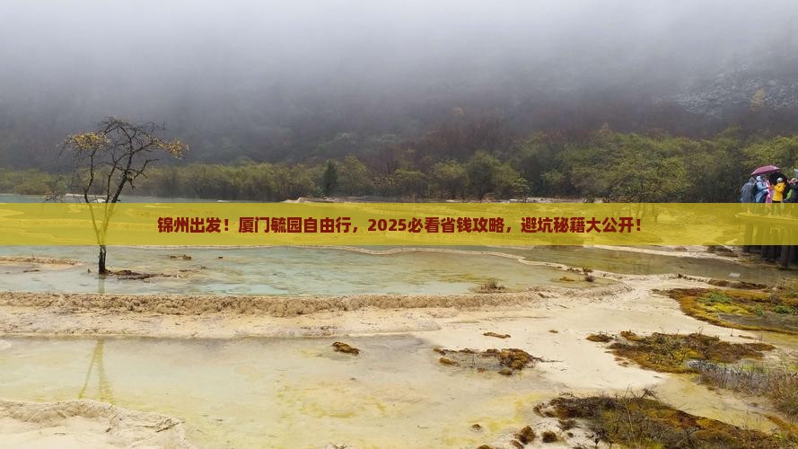 锦州到厦门毓园自由团