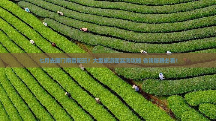 七月到厦门南普陀大型旅游团