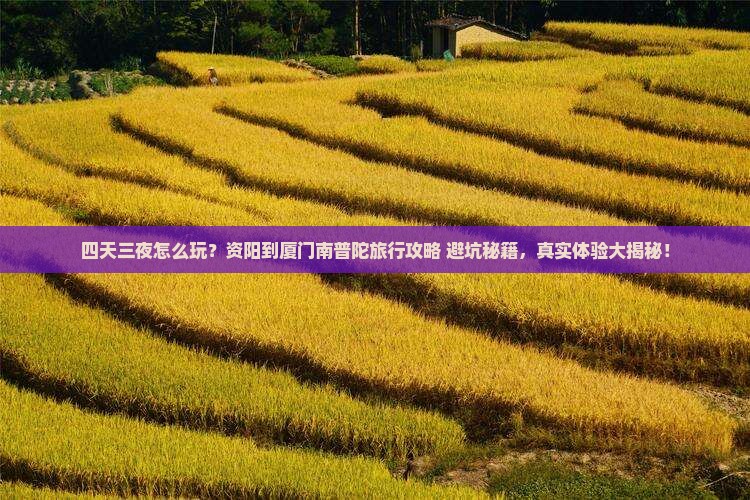 资阳到厦门南普陀四日游