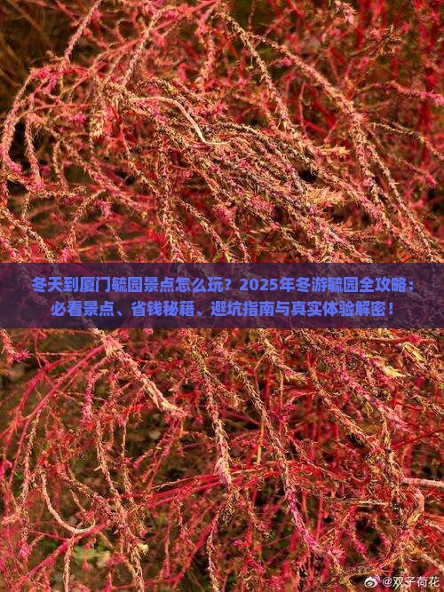 冬天到厦门毓园景点