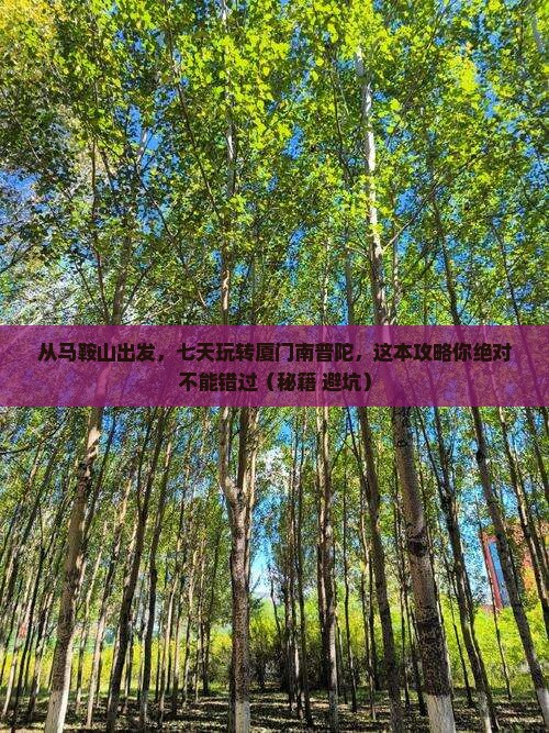 马鞍山去厦门南普陀七日游