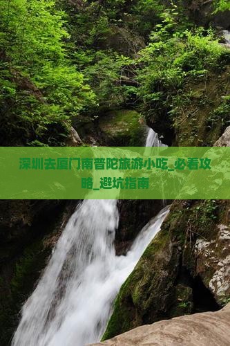 深圳去厦门南普陀旅游小吃