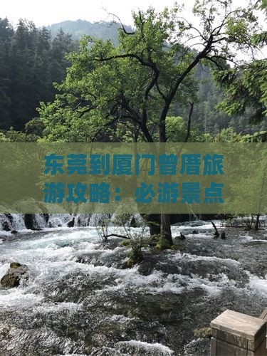 东莞到厦门曾厝埯一日