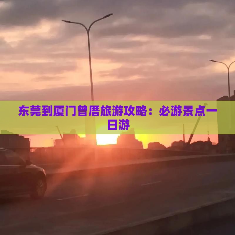 东莞到厦门曾厝埯一日